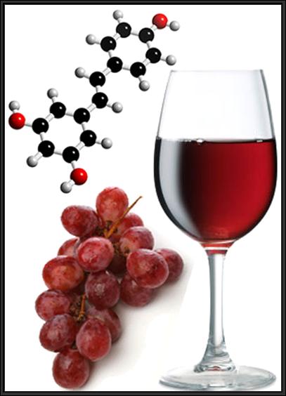 Resveratrol is an Antioxidant Found in Wines