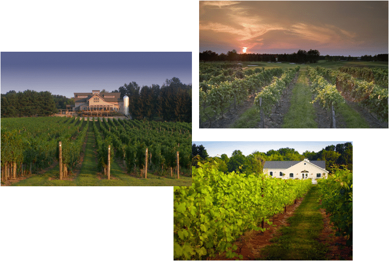 New Jersey Wineries